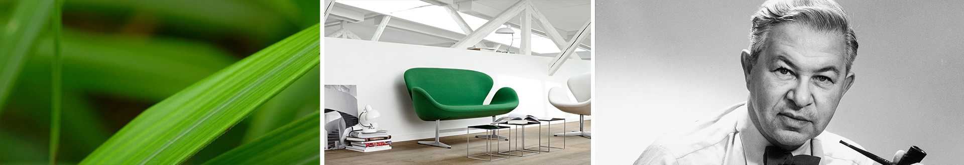 乐竞平台 设计师 雅各布森