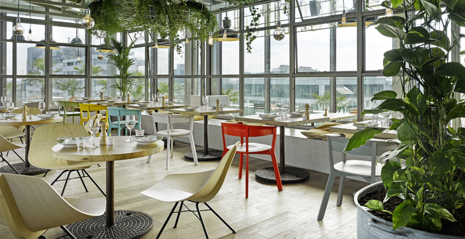 乐竞平台 - 坐具|餐椅|办公家具|设计师家具|木制比基尼餐椅