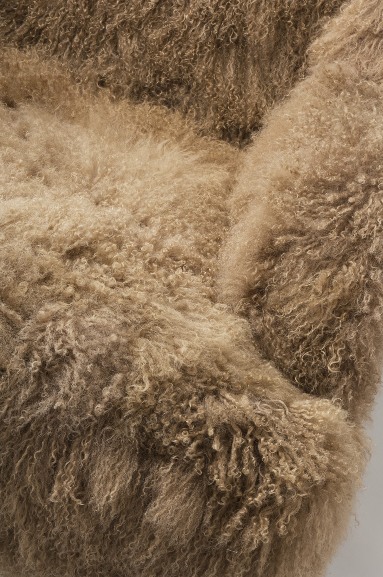 乐竞平台 - 坐具|休闲椅|办公家具|设计师家具|mammoth wing 椅子