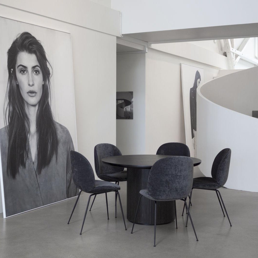 乐竞平台 - 坐具|餐椅|办公家具|设计师家具|甲壳虫餐椅