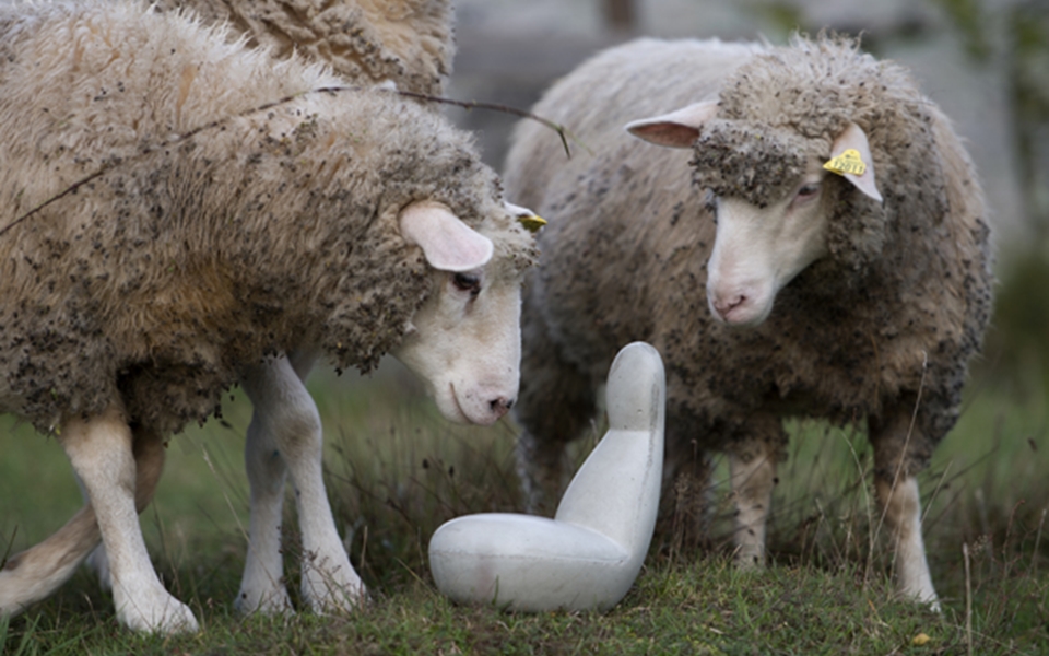 乐竞平台 - 坐具|沙发|办公家具|设计师家具|Oppo  沙发椅