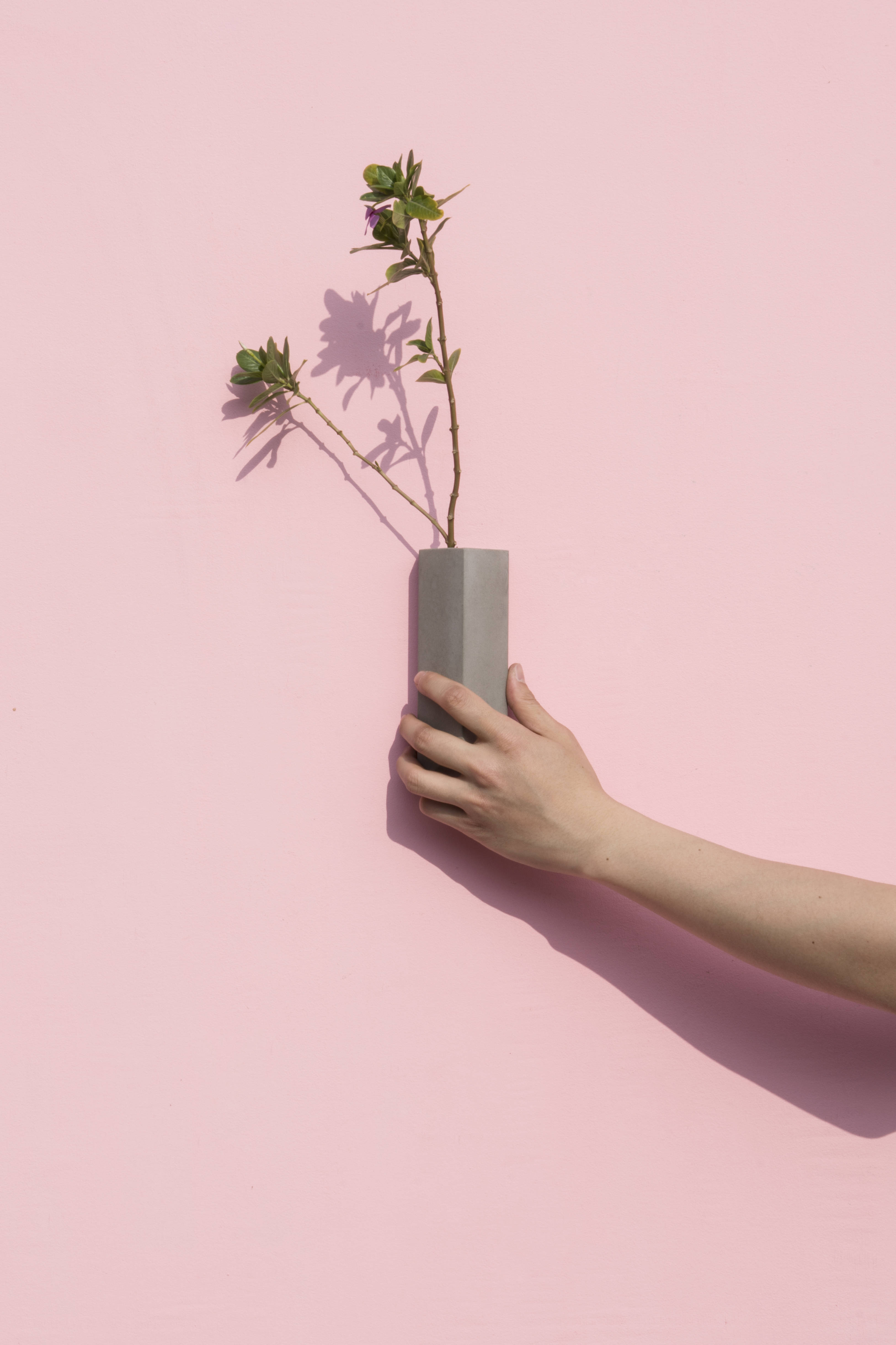 乐竞平台 - 附件|装饰画/墙饰|办公家具|设计师家具|墙面装饰花插-息