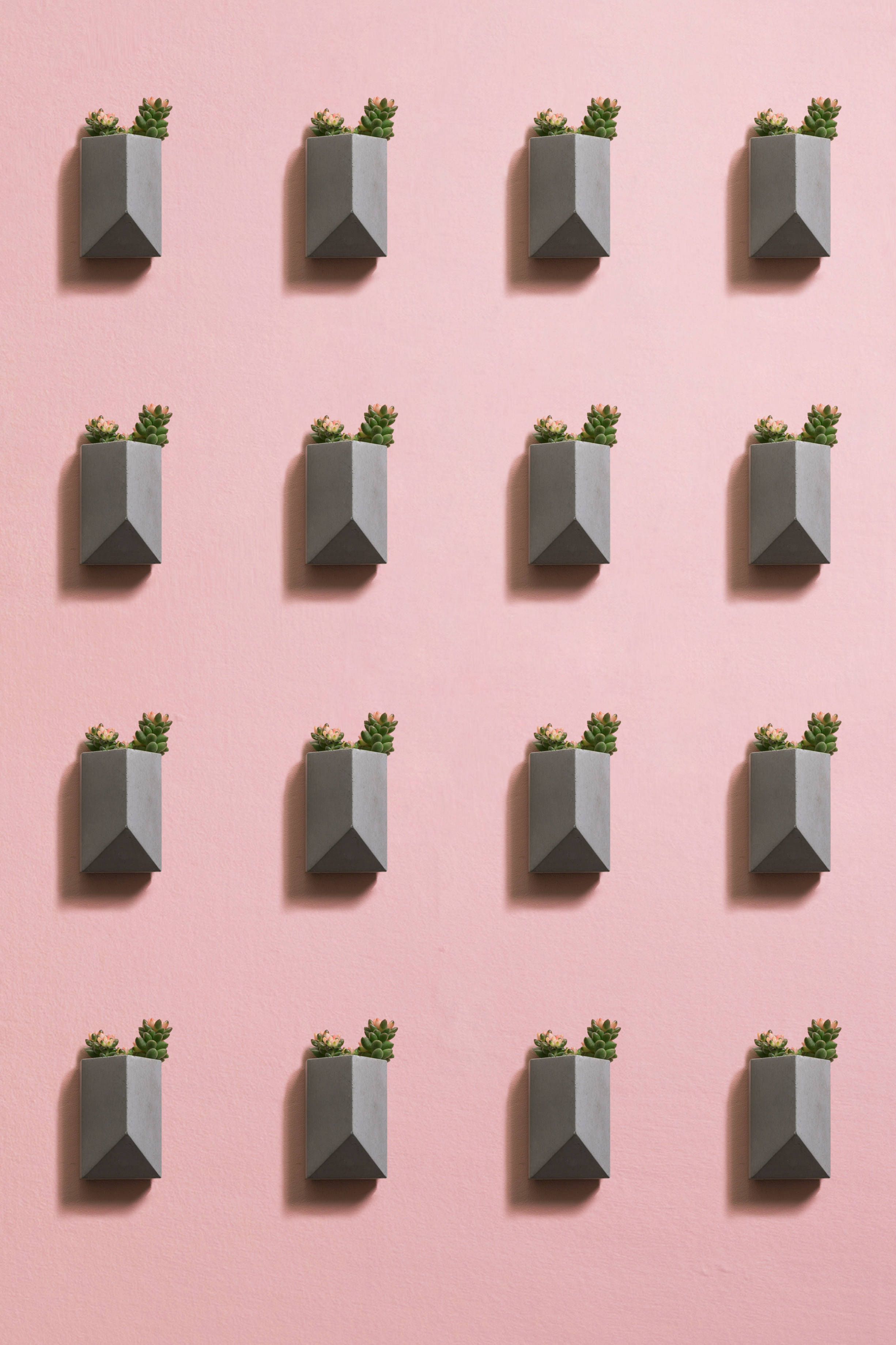 乐竞平台 - 附件|装饰画/墙饰|办公家具|设计师家具|墙面装饰花插-息