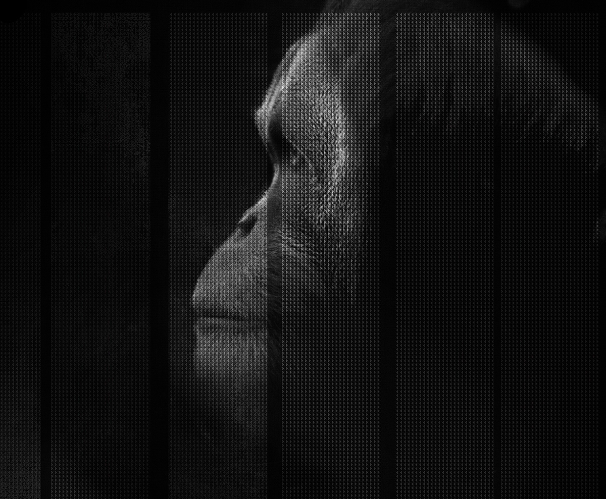 [乐竞平台 - 附件|装饰画/墙饰|办公家具|设计师家具|凯撒-原创定制壁画]