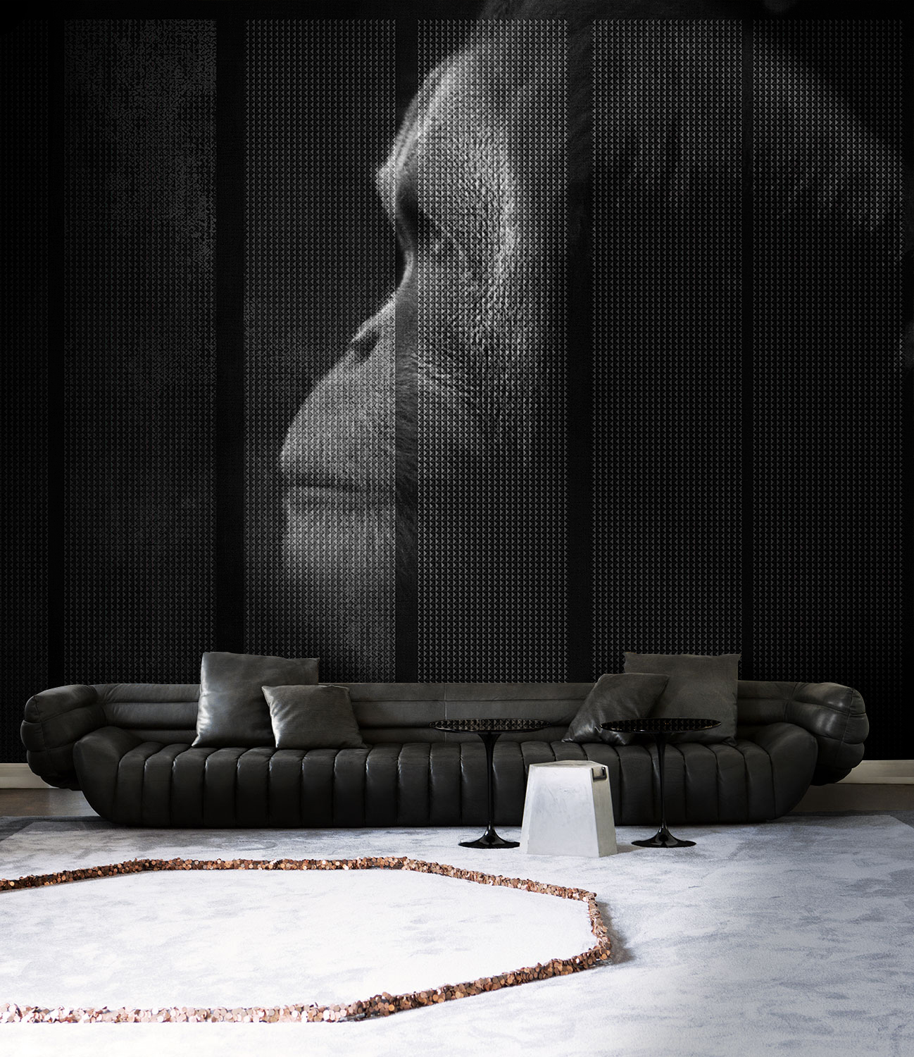 乐竞平台 - 附件|装饰画/墙饰|办公家具|设计师家具|凯撒-原创定制壁画