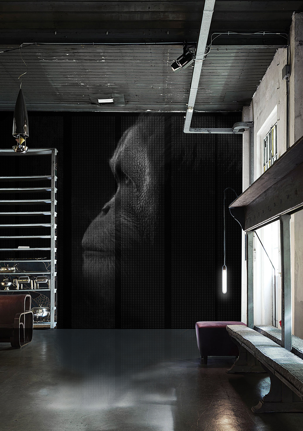 乐竞平台 - 附件|装饰画/墙饰|办公家具|设计师家具|凯撒-原创定制壁画