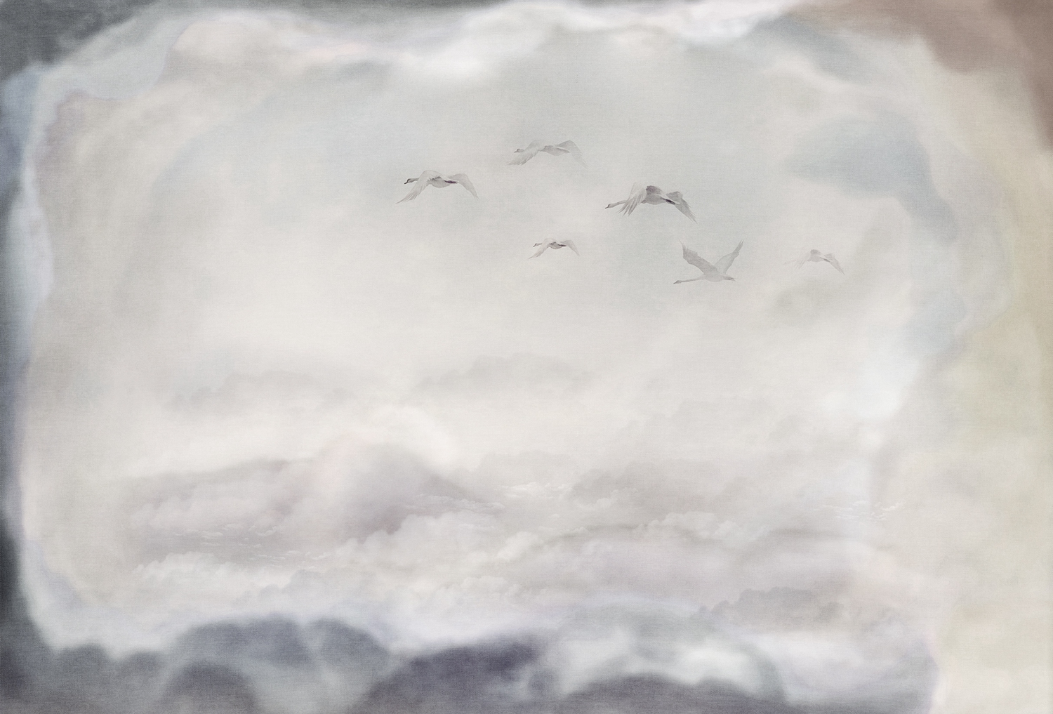 乐竞平台 - 附件|装饰画/墙饰|办公家具|设计师家具|候鸟-原创定制壁画