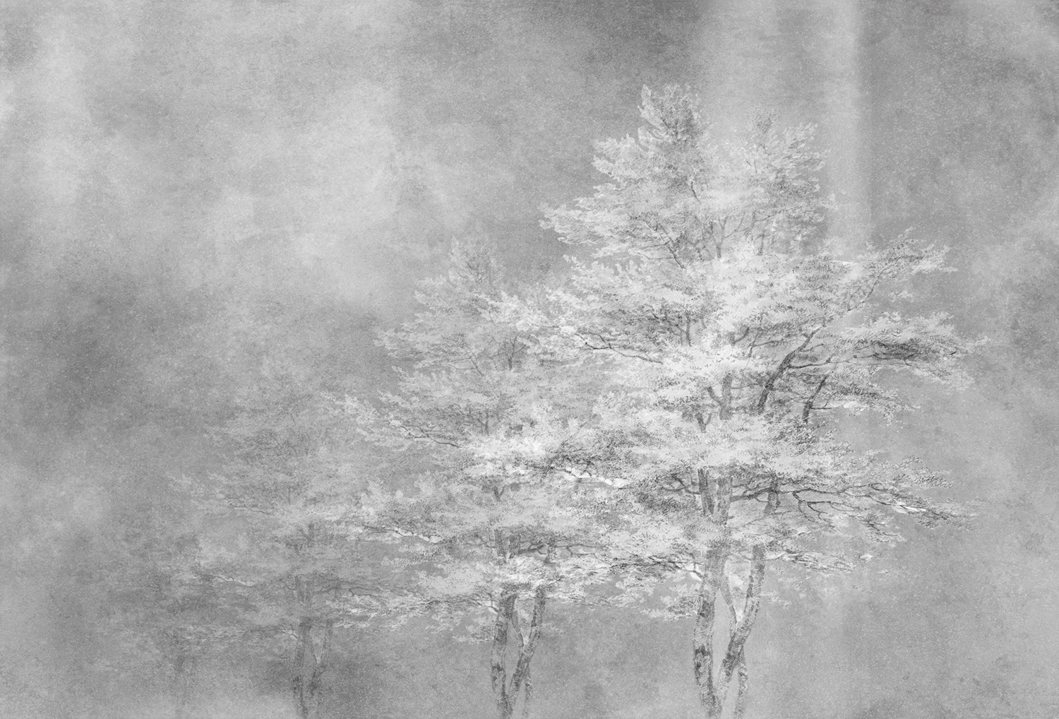 [乐竞平台 - 附件|装饰画/墙饰|办公家具|设计师家具|雾凇-原创定制壁画]