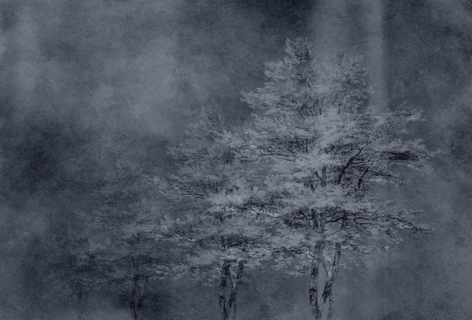 乐竞平台 - 附件|装饰画/墙饰|办公家具|设计师家具|雾凇-原创定制壁画