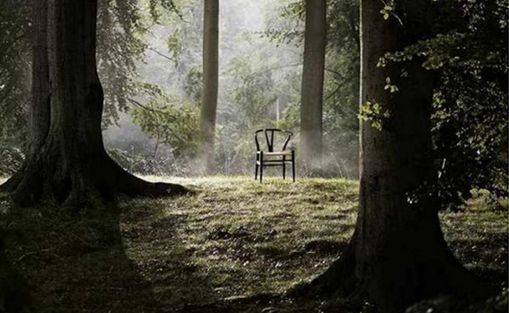 乐竞平台 - 坐具|餐椅|办公家具|设计师家具|Y 椅