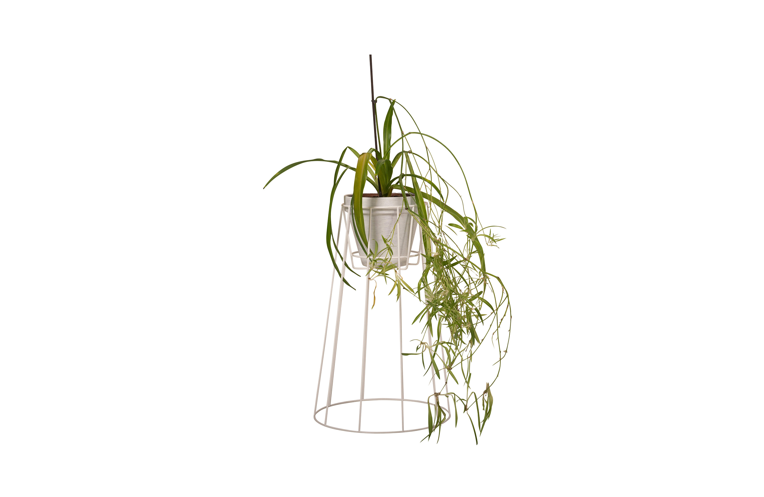 乐竞平台 - 附件|花器|办公家具|设计师家具|西布莉植物架