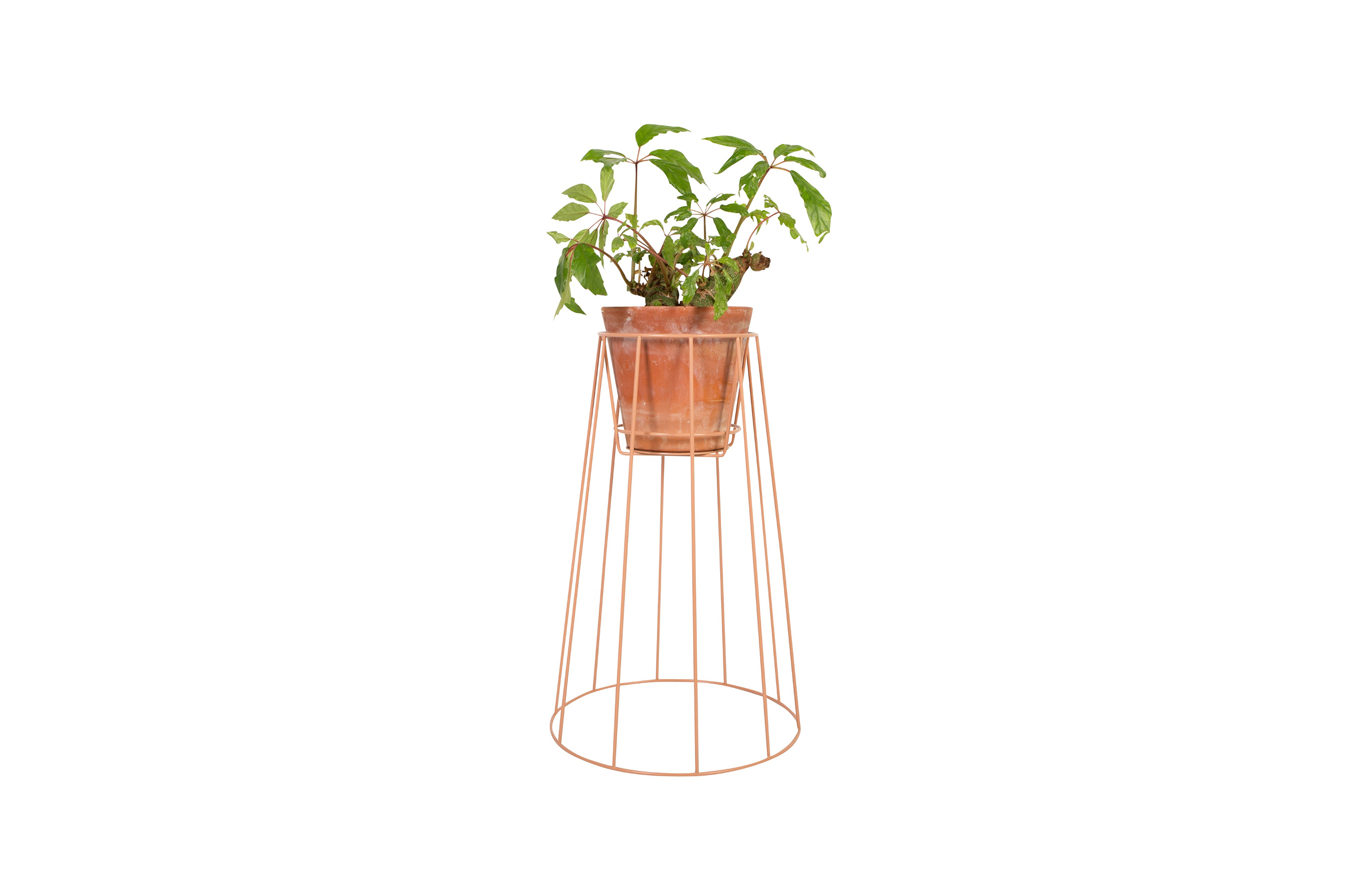乐竞平台 - 附件|花器|办公家具|设计师家具|西布莉植物架