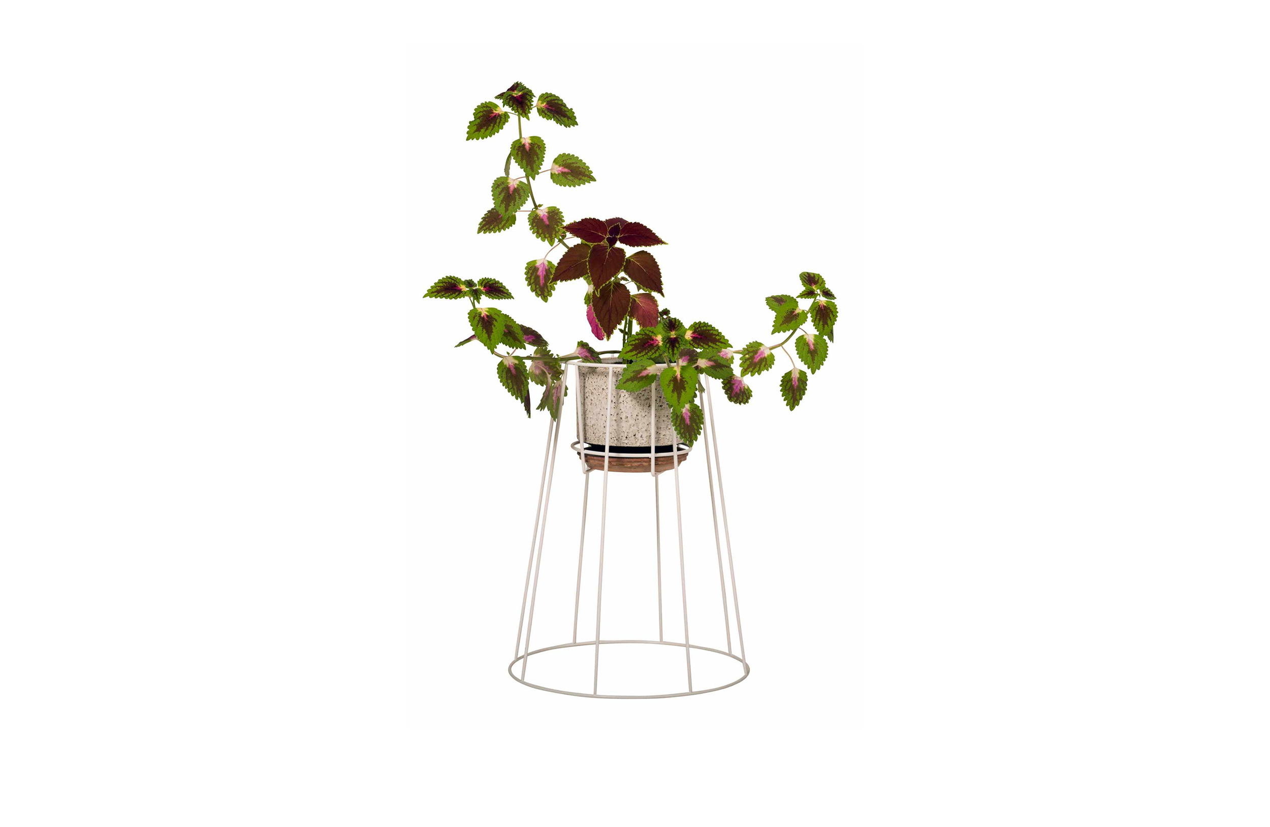乐竞平台 - 附件|花器|办公家具|设计师家具|西布莉植物架