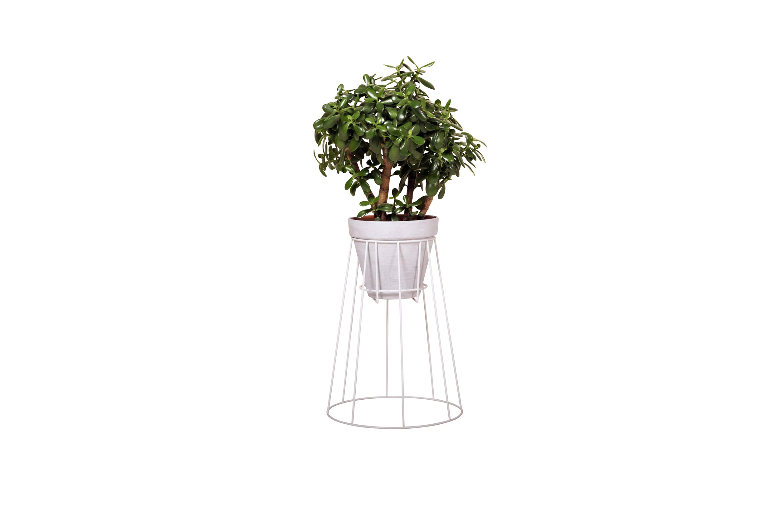 乐竞平台 - 附件|花器|办公家具|设计师家具|西布莉植物架
