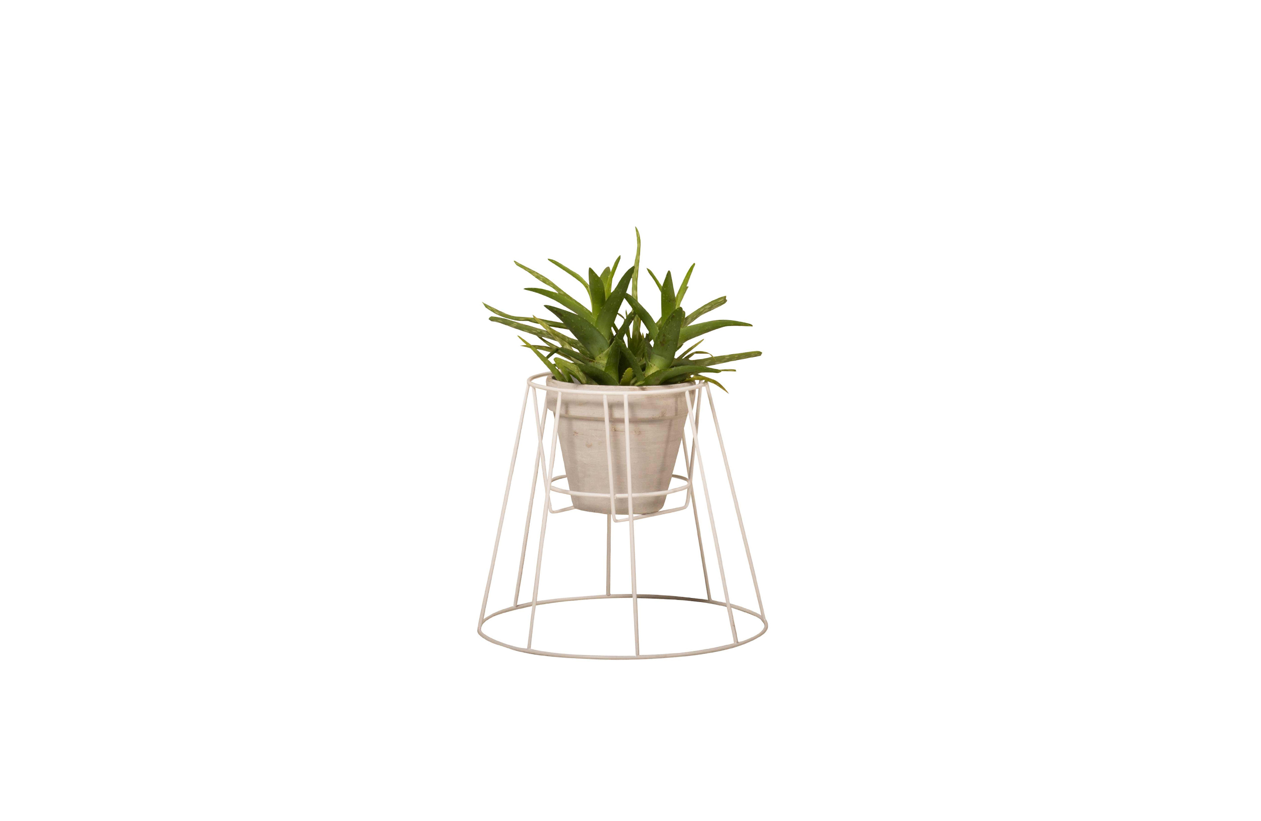 乐竞平台 - 附件|花器|办公家具|设计师家具|西布莉植物架