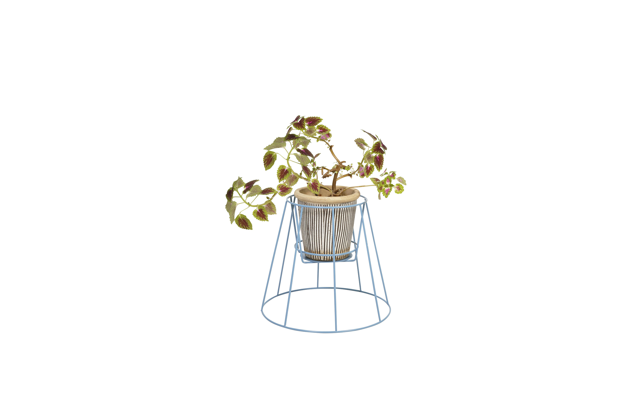 乐竞平台 - 附件|花器|办公家具|设计师家具|西布莉植物架