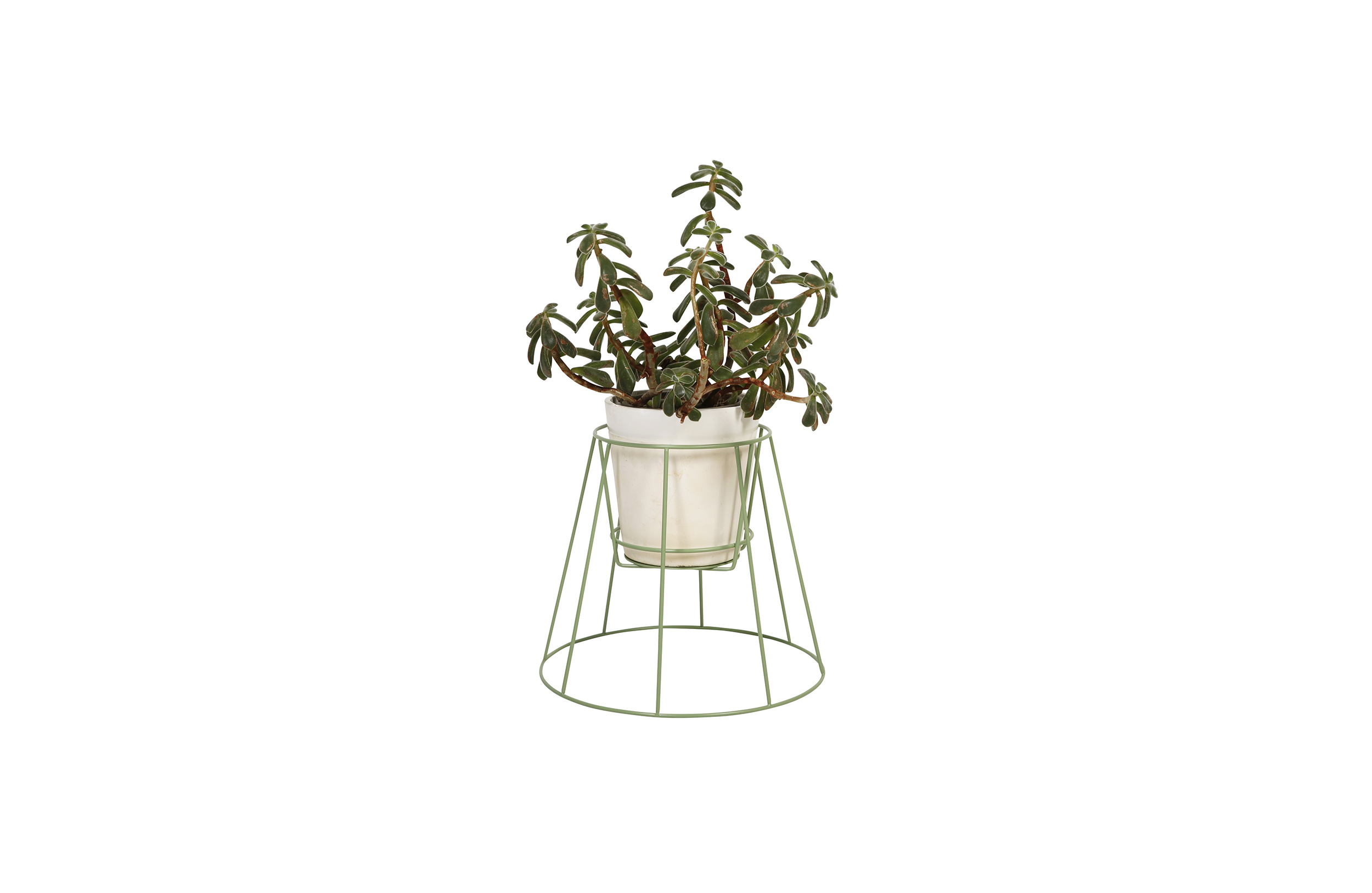 乐竞平台 - 附件|花器|办公家具|设计师家具|西布莉植物架