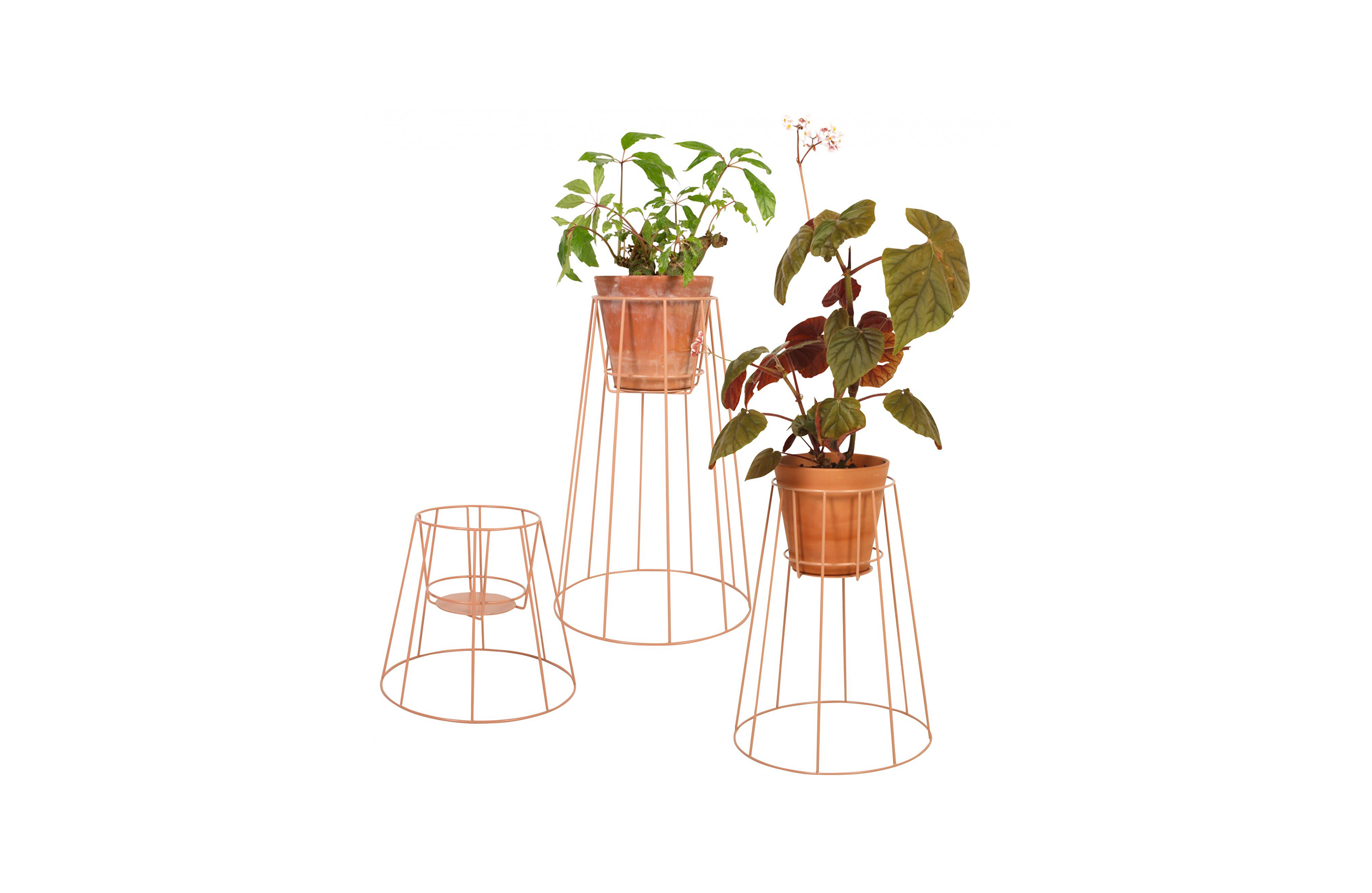 乐竞平台 - 附件|花器|办公家具|设计师家具|西布莉植物架