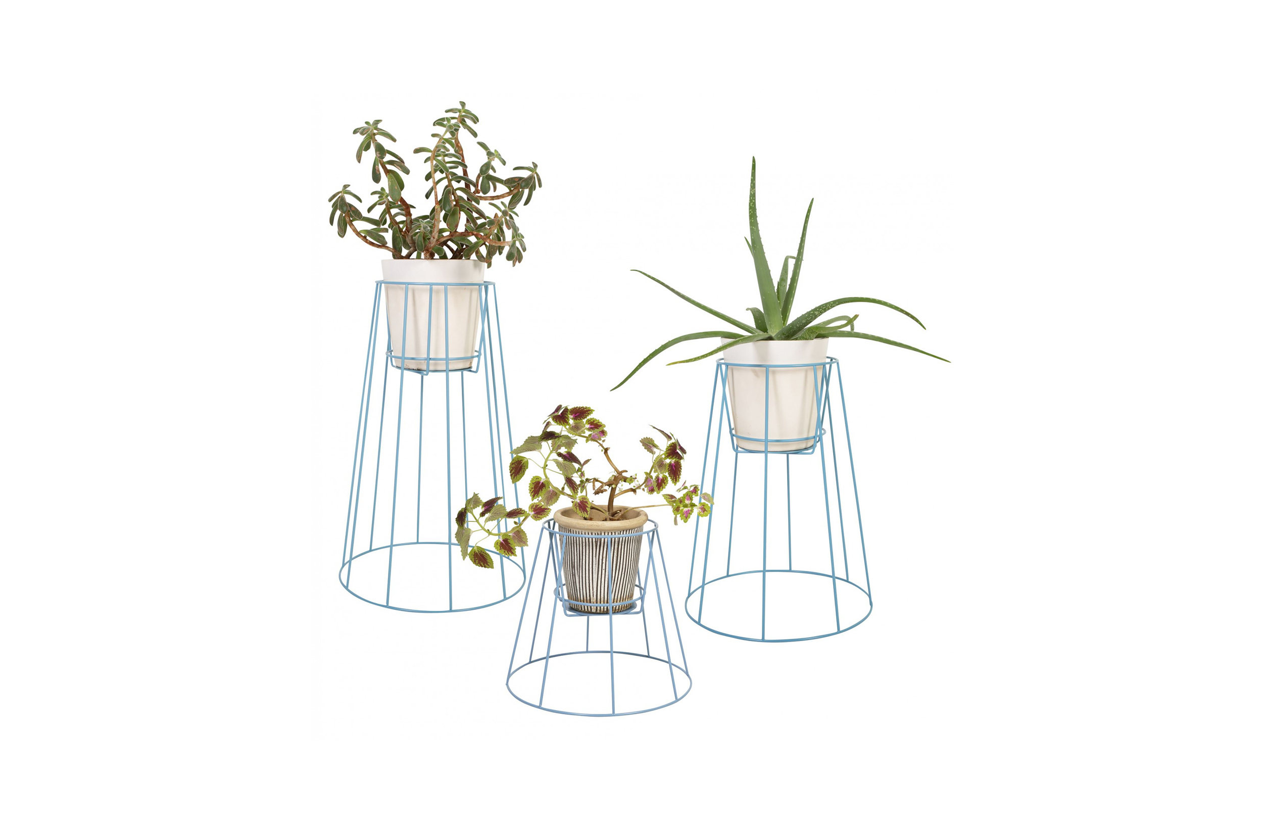乐竞平台 - 附件|花器|办公家具|设计师家具|西布莉植物架