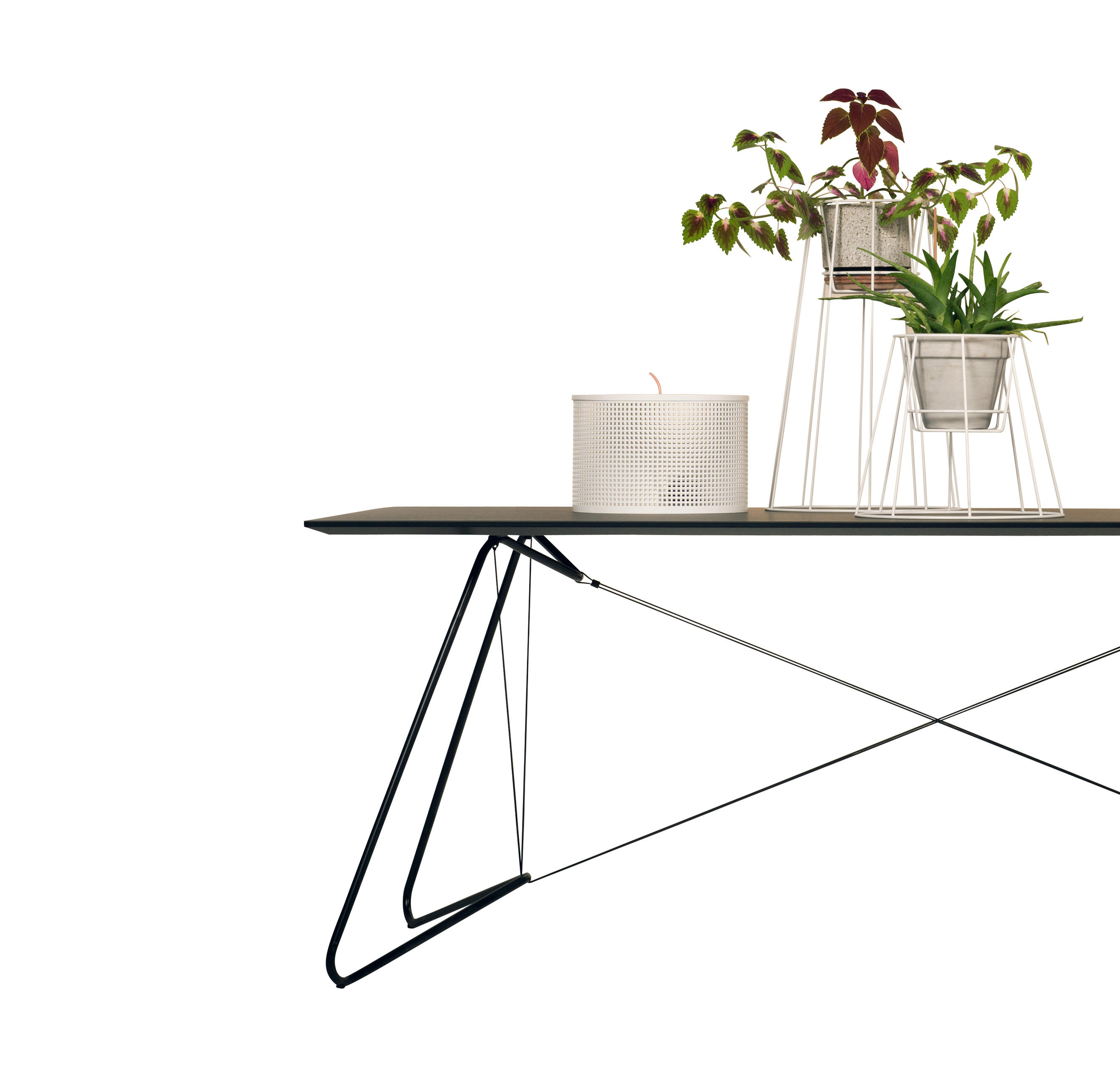 乐竞平台 - 附件|花器|办公家具|设计师家具|西布莉植物架