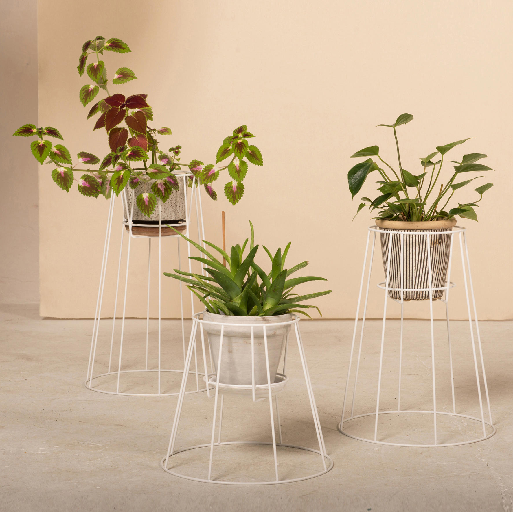 乐竞平台 - 附件|花器|办公家具|设计师家具|西布莉植物架