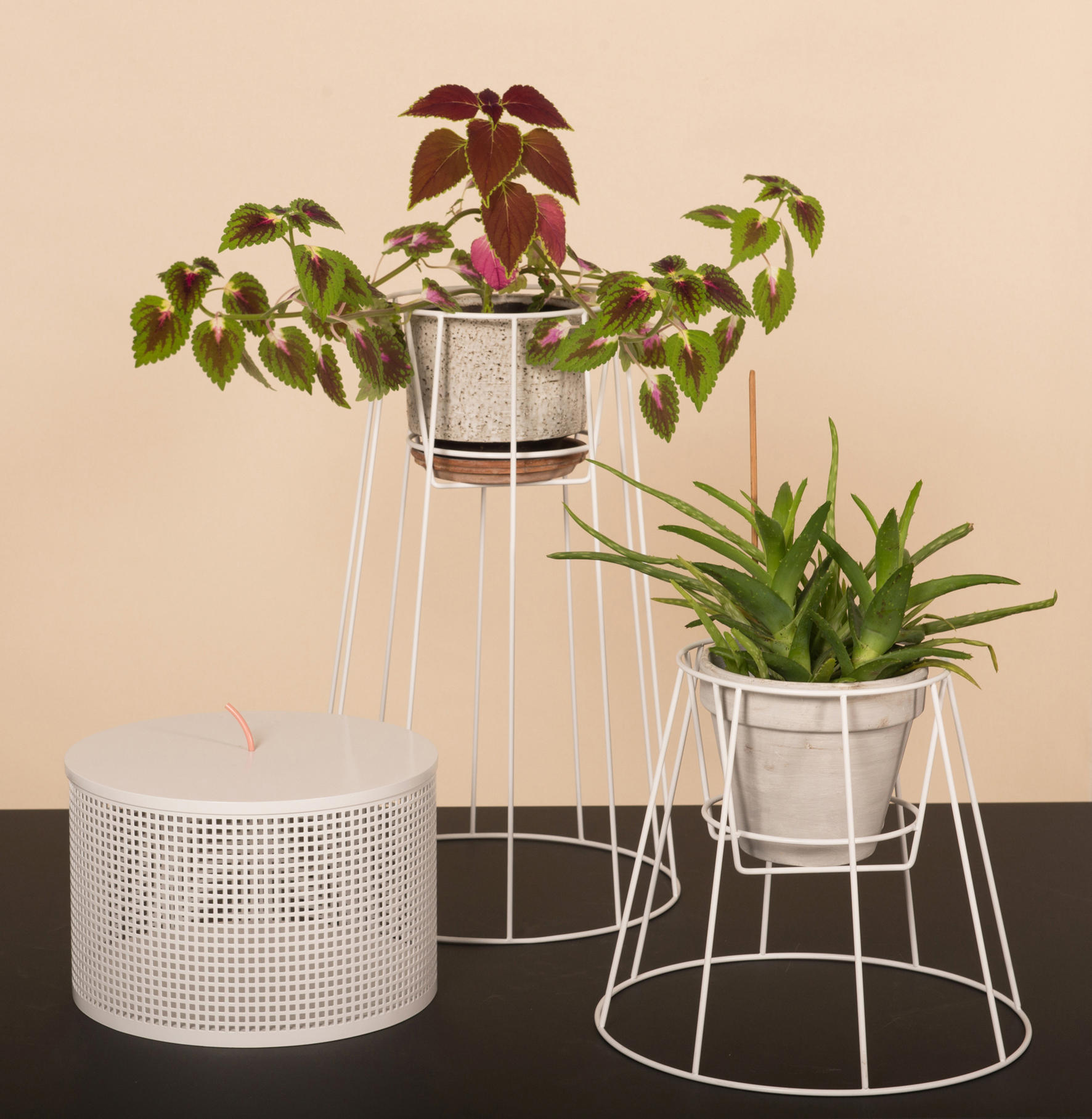 乐竞平台 - 附件|花器|办公家具|设计师家具|西布莉植物架