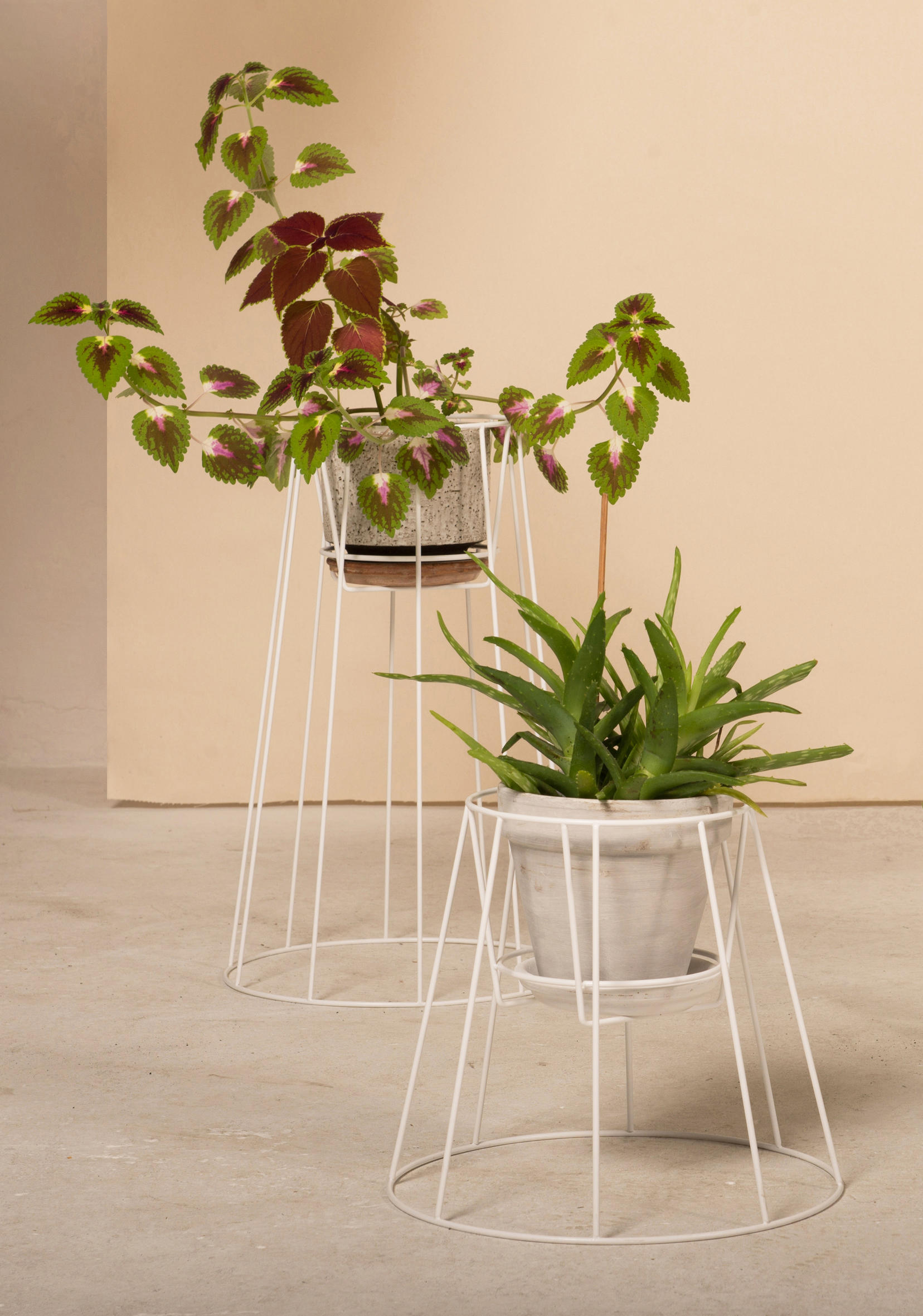 乐竞平台 - 附件|花器|办公家具|设计师家具|西布莉植物架