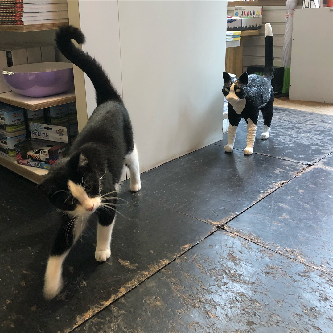 乐竞平台 - 灯饰|台灯|办公家具|设计师家具|猫灯