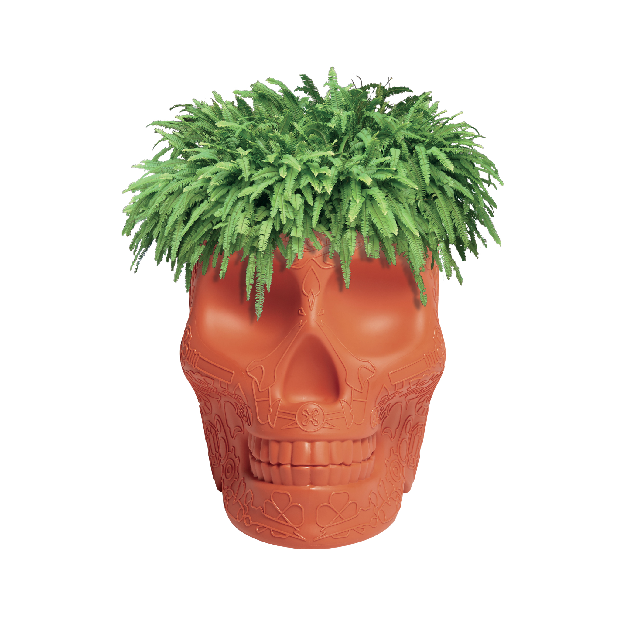 乐竞平台 - 附件|花器|办公家具|设计师家具|墨西哥花盆