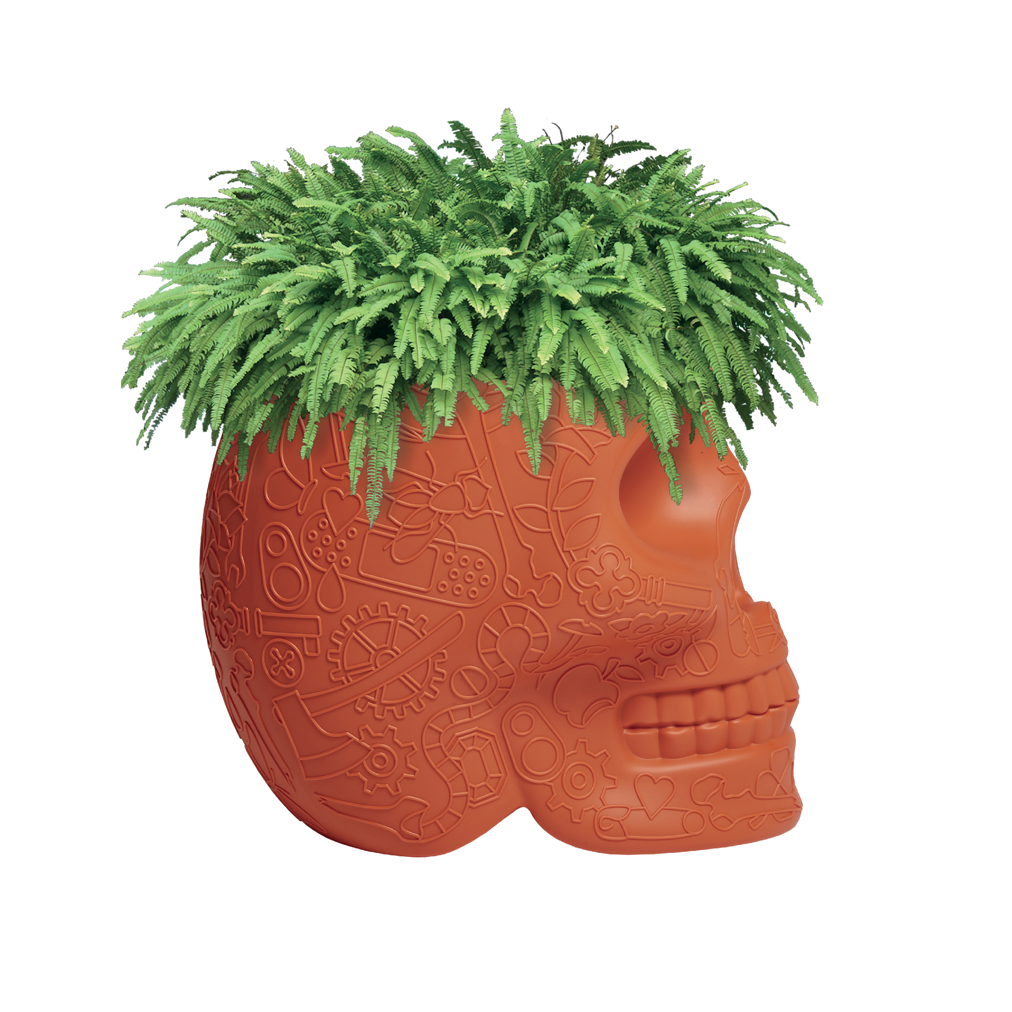 乐竞平台 - 附件|花器|办公家具|设计师家具|墨西哥花盆