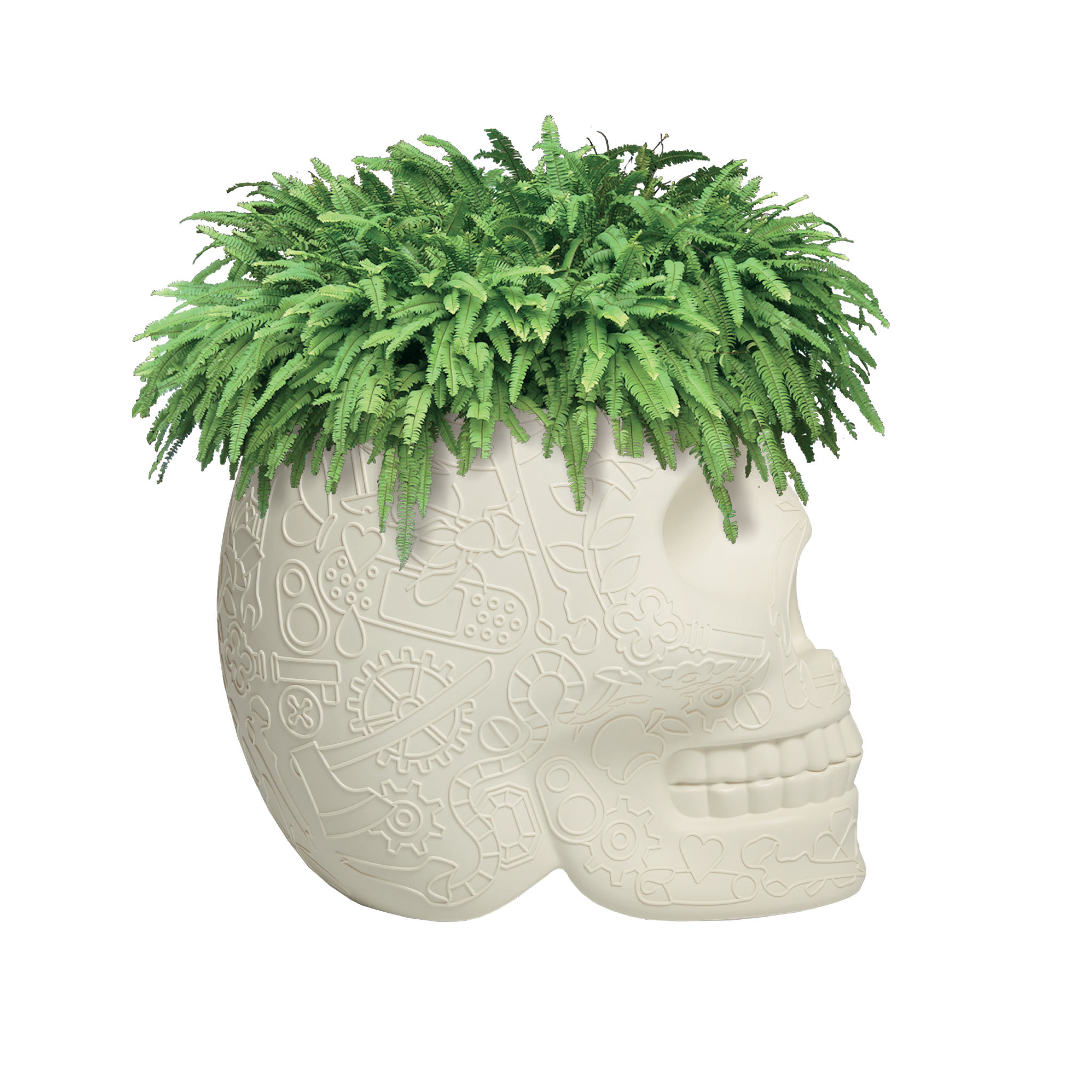 乐竞平台 - 附件|花器|办公家具|设计师家具|墨西哥花盆