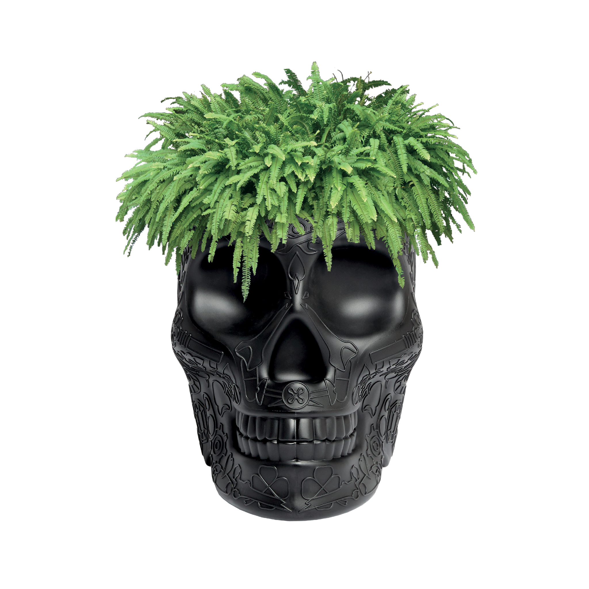 乐竞平台 - 附件|花器|办公家具|设计师家具|墨西哥花盆