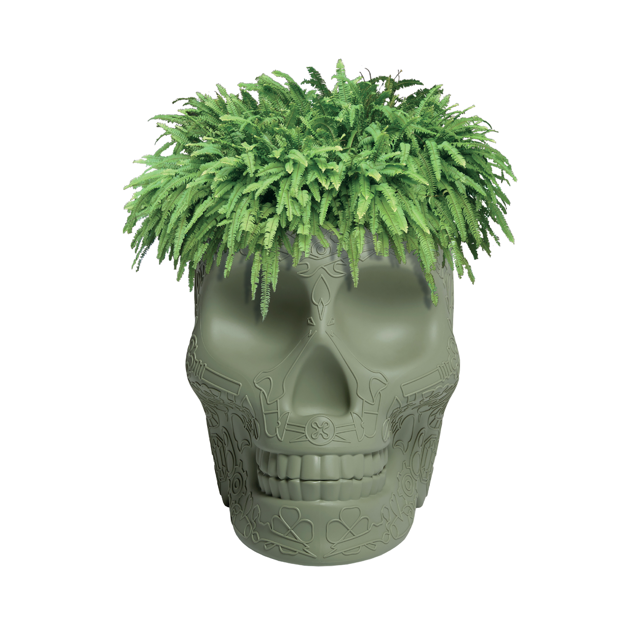 乐竞平台 - 附件|花器|办公家具|设计师家具|墨西哥花盆