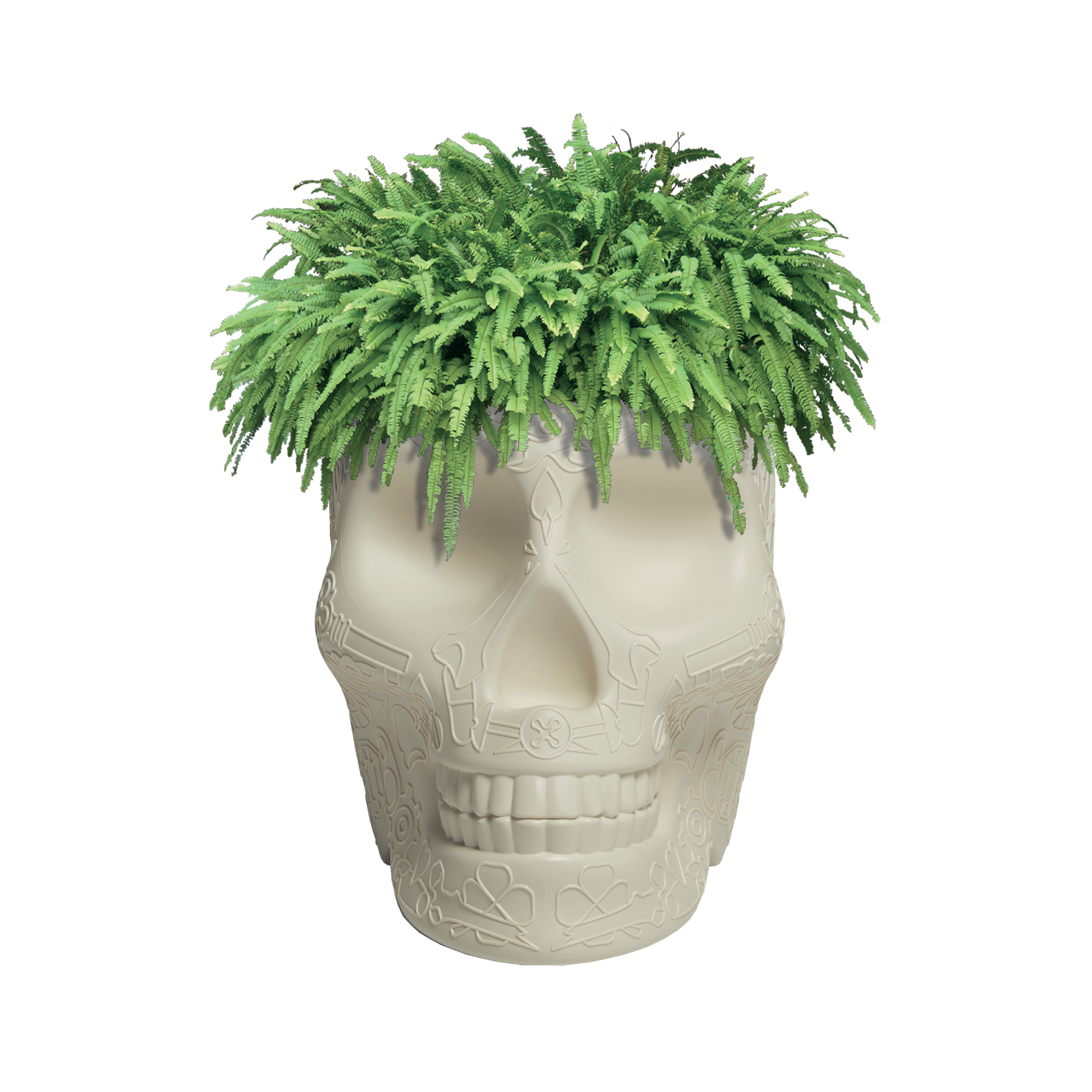乐竞平台 - 附件|花器|办公家具|设计师家具|墨西哥花盆