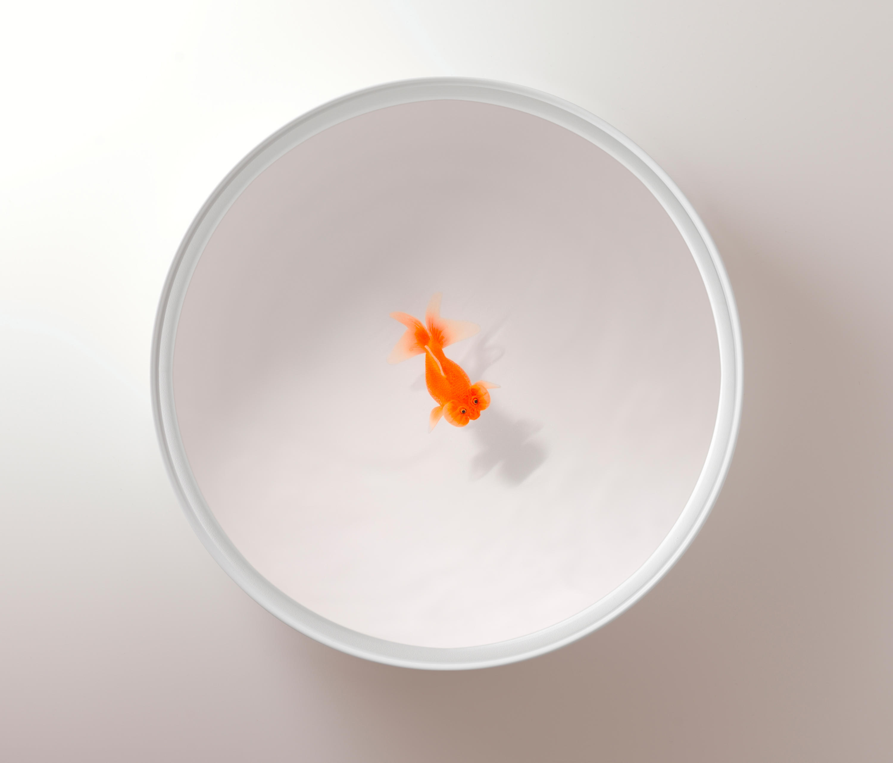 乐竞平台 - 桌几|茶几/边几|办公家具|设计师家具|Up in the Air 茶几/角几