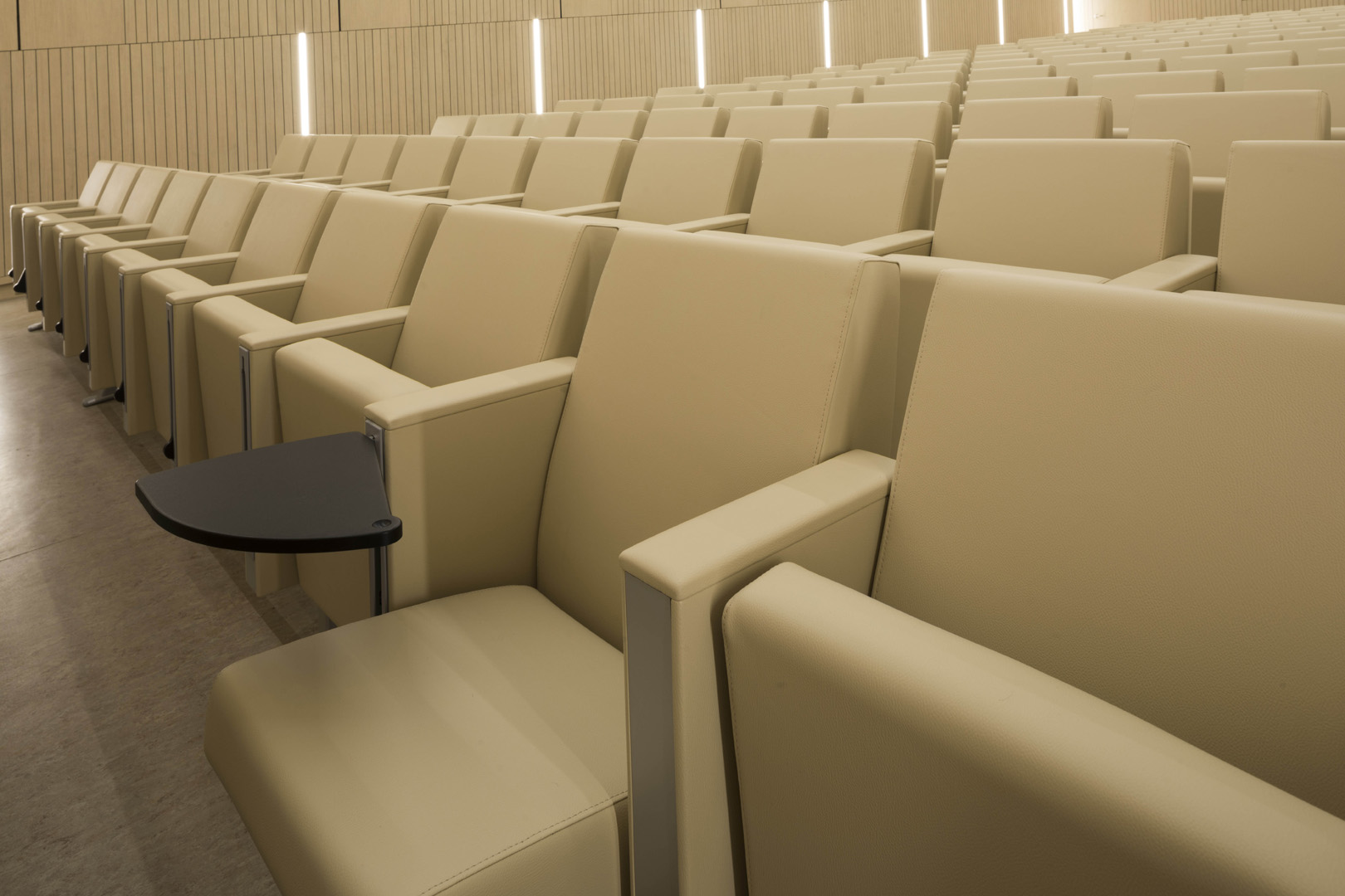 公共座椅|礼堂椅|办公家具|设计师家具|C100 剧院/礼堂椅