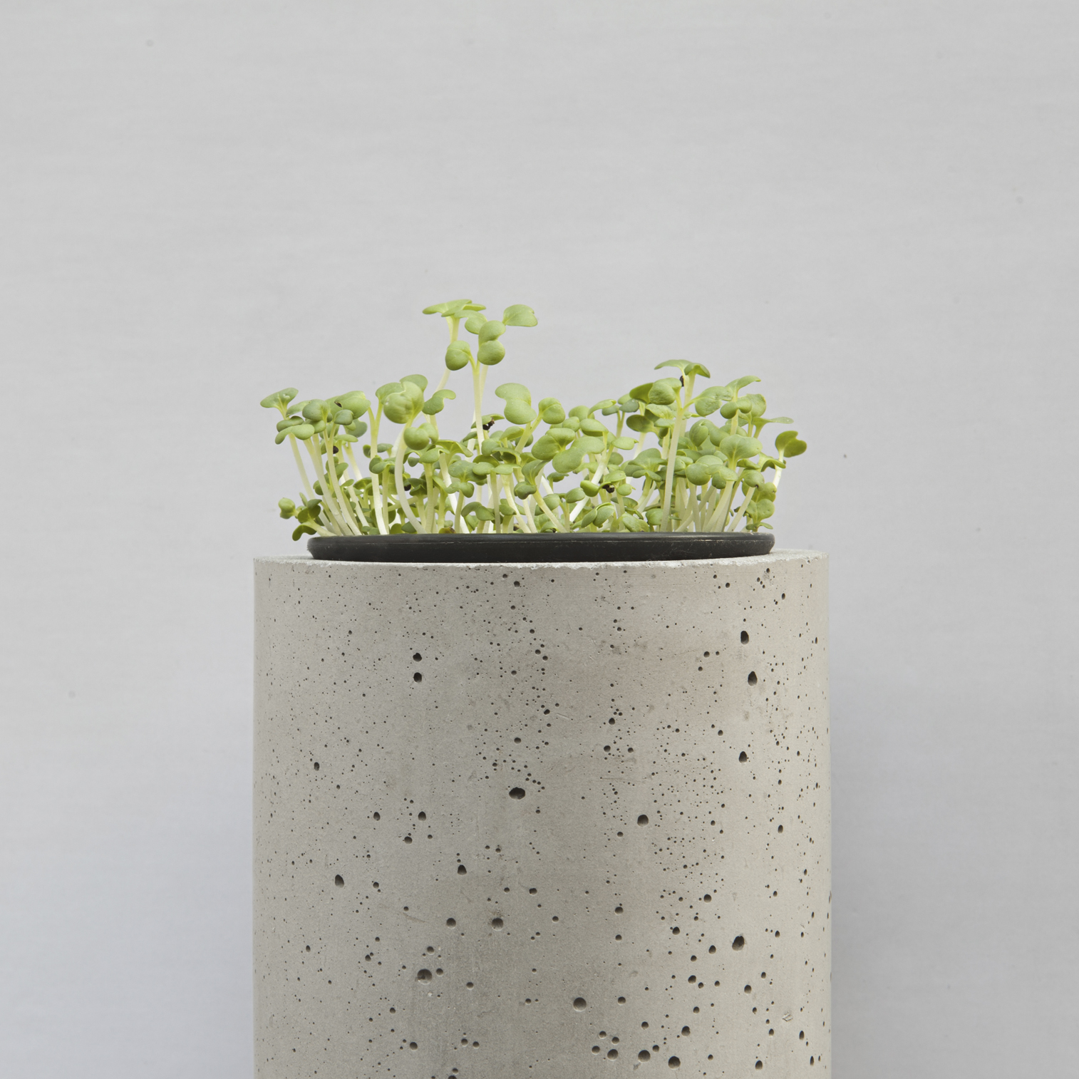 乐竞平台 - 附件|花器|办公家具|设计师家具|挂墙式花钵-杯
