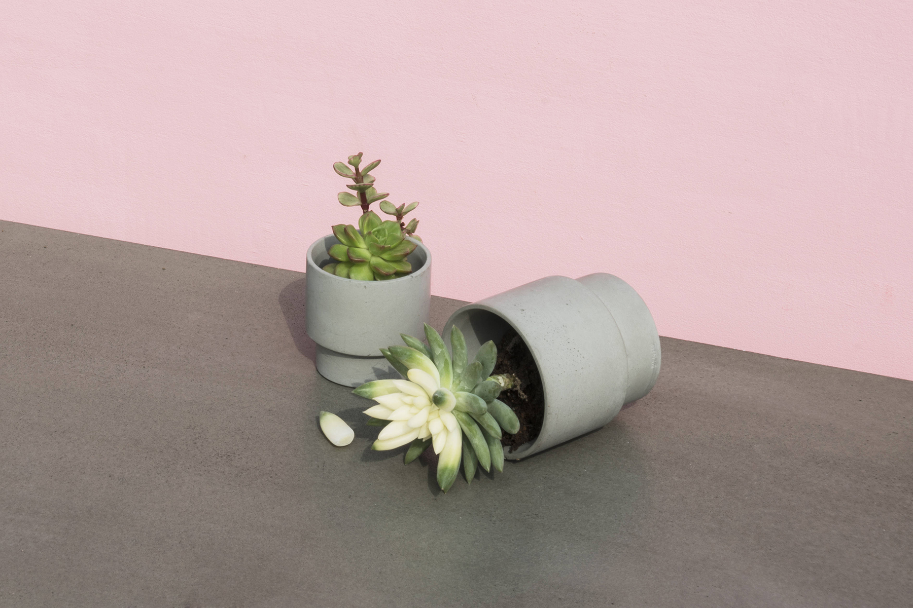 乐竞平台 - 附件|花器|办公家具|设计师家具|花钵/蜡烛台-息