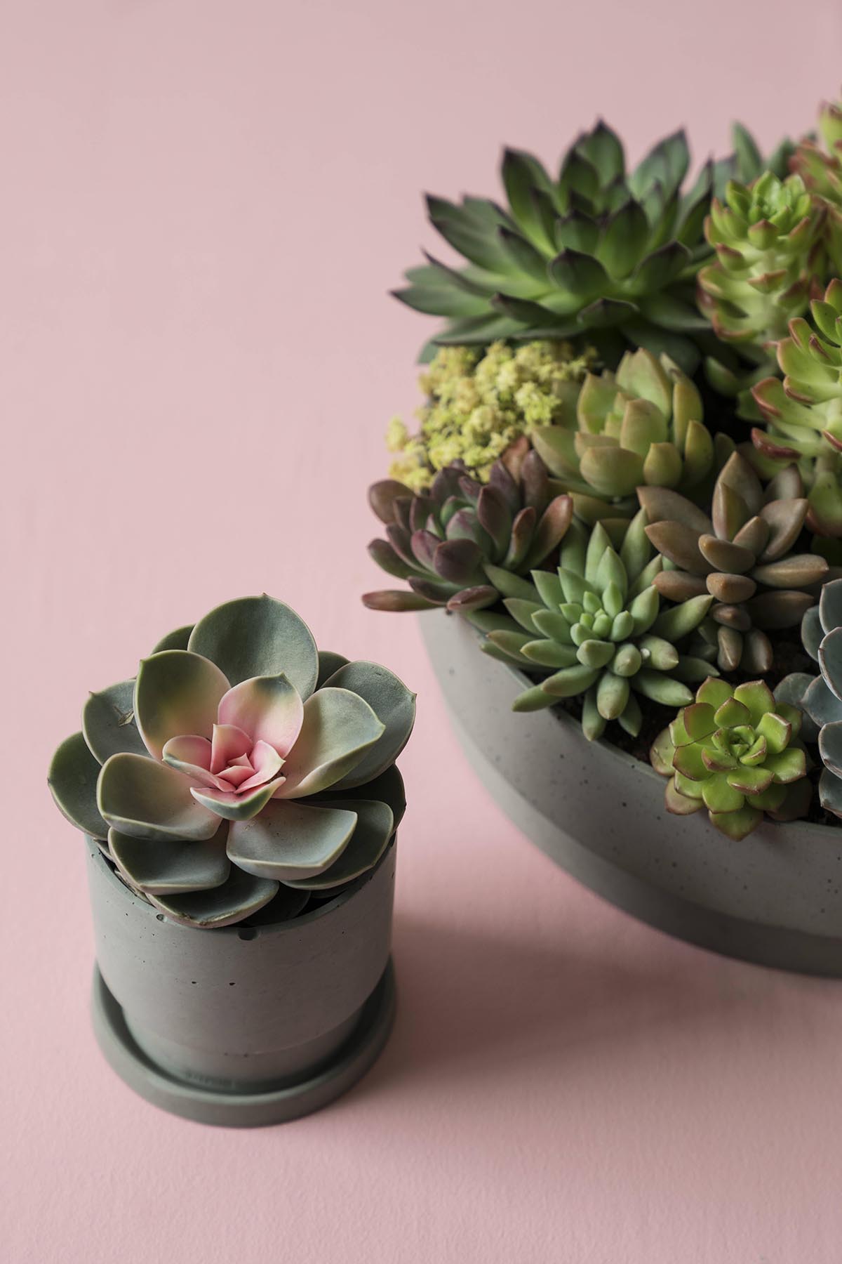 乐竞平台 - 附件|花器|办公家具|设计师家具|花钵/蜡烛台-息