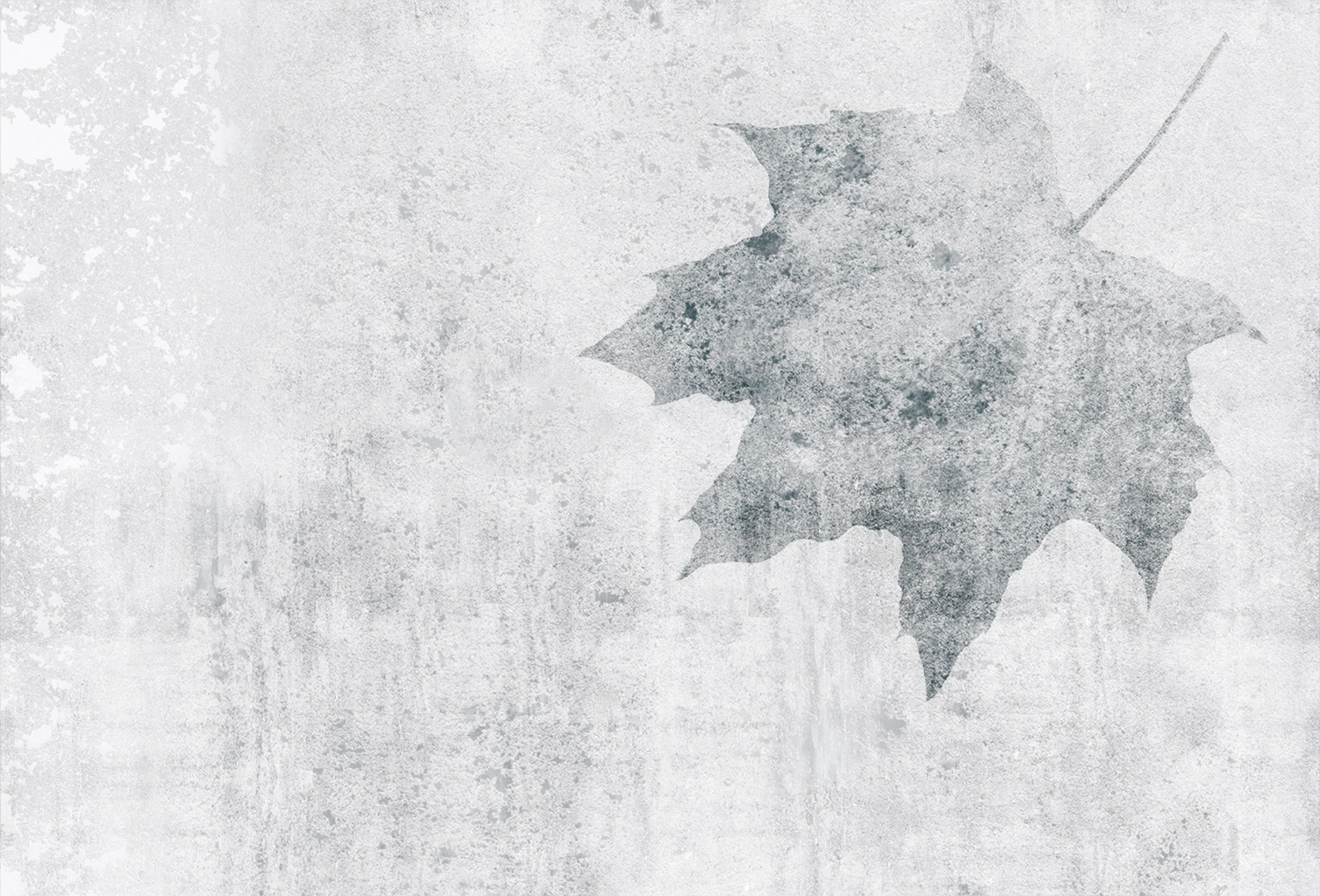 [乐竞平台 - 附件|装饰画/墙饰|办公家具|设计师家具|枫叶-原创定制壁画]
