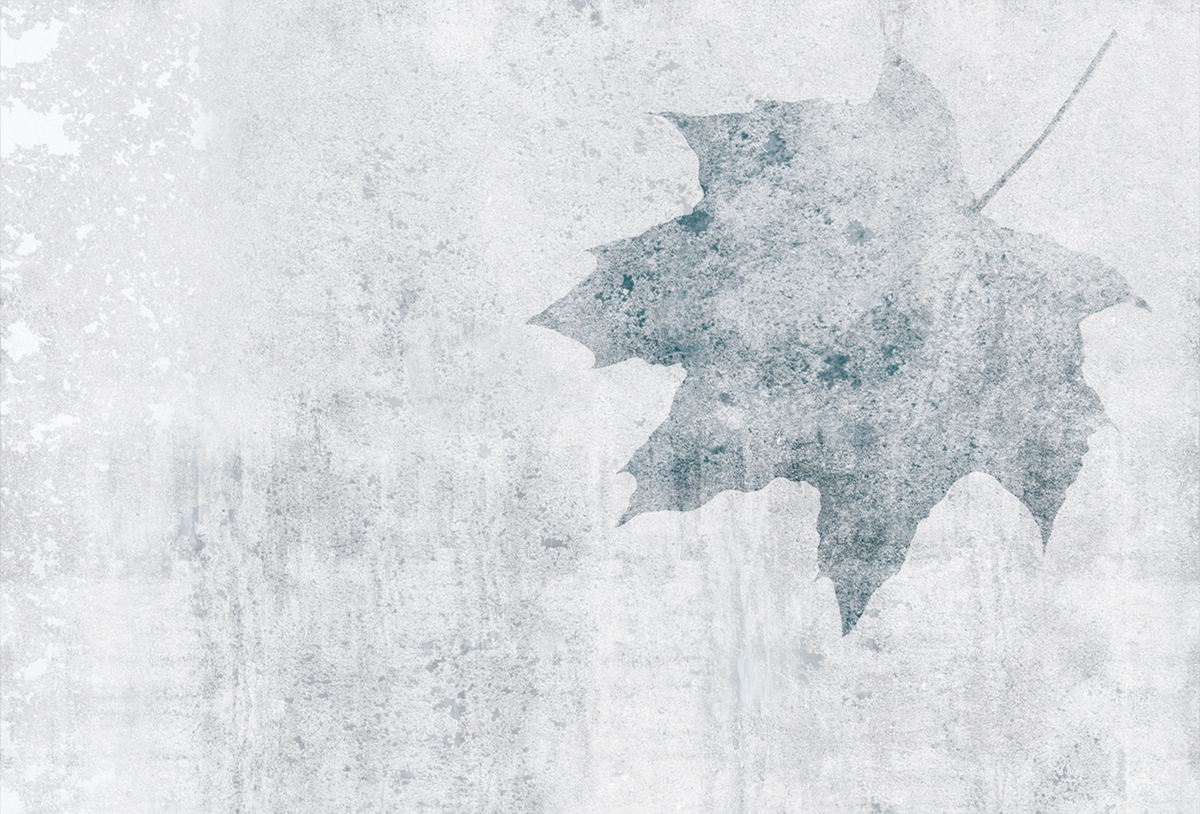 乐竞平台 - 附件|装饰画/墙饰|办公家具|设计师家具|枫叶-原创定制壁画