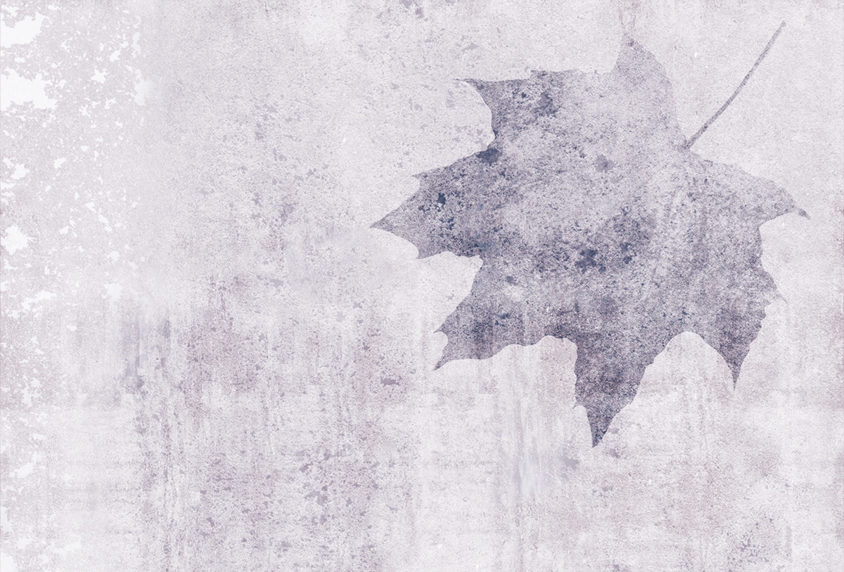 乐竞平台 - 附件|装饰画/墙饰|办公家具|设计师家具|枫叶-原创定制壁画